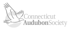 Connecticut Audubon Society